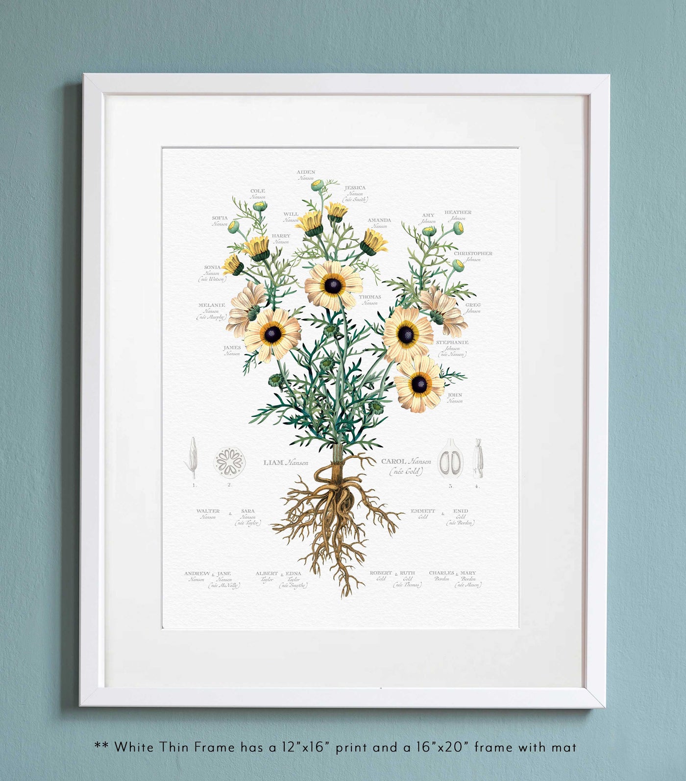 painted daisy in a thin white frame