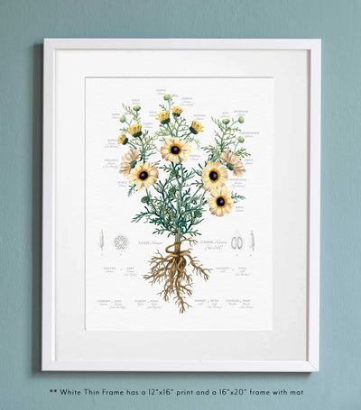painted daisy in a thin white frame