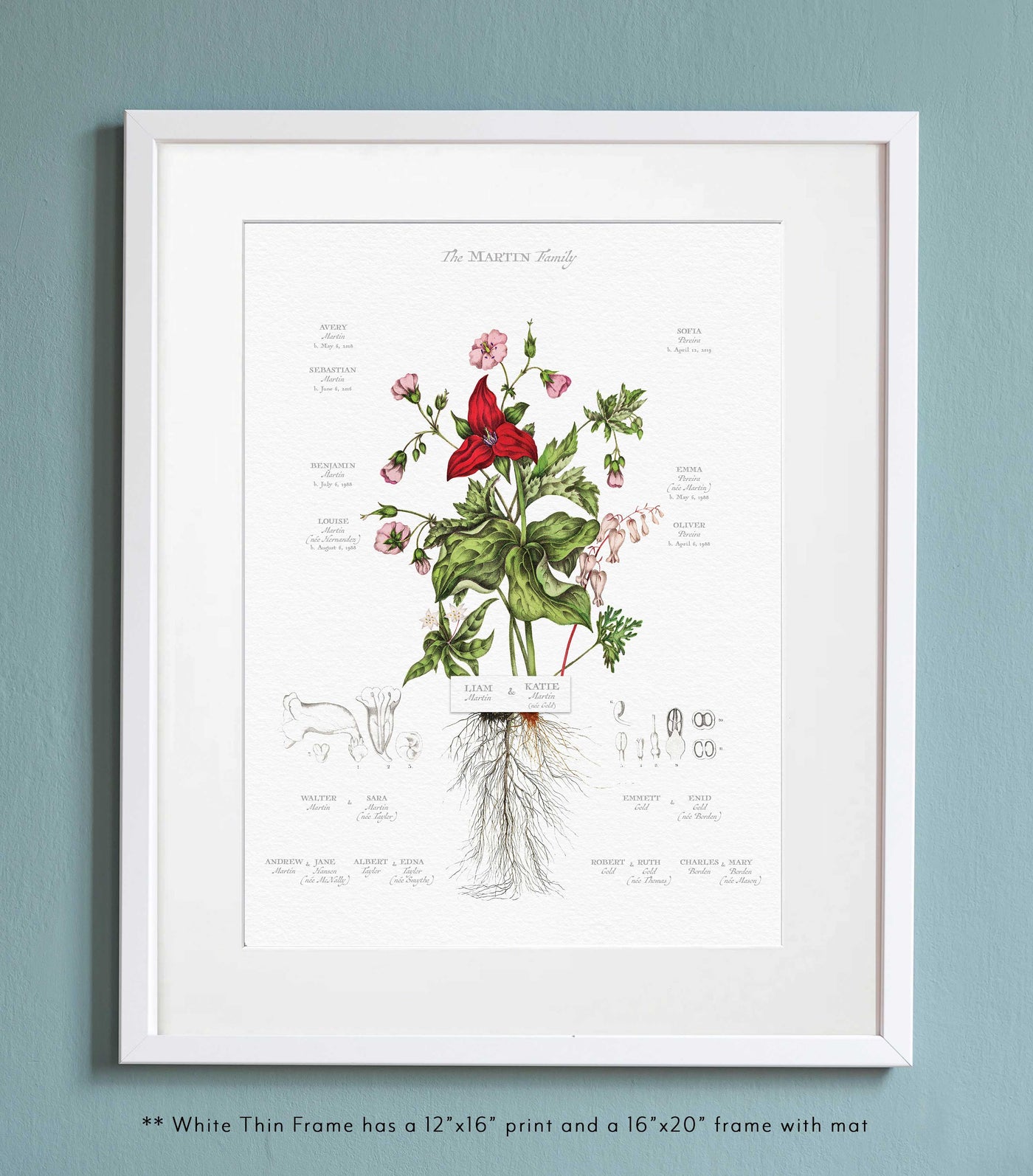 Red Trillium Family Botanic in a thin white frame