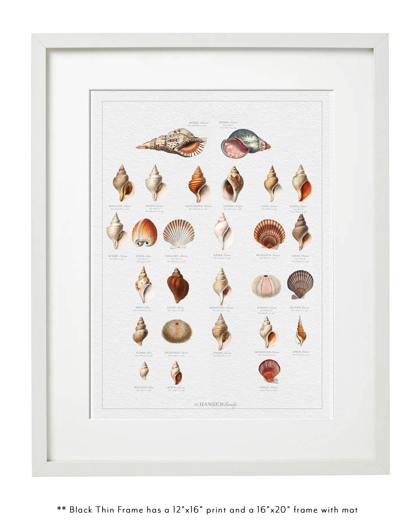 Botanicial Shell Vintage Shells Family Botanic-Custom & Framed Family Tree Wall Art