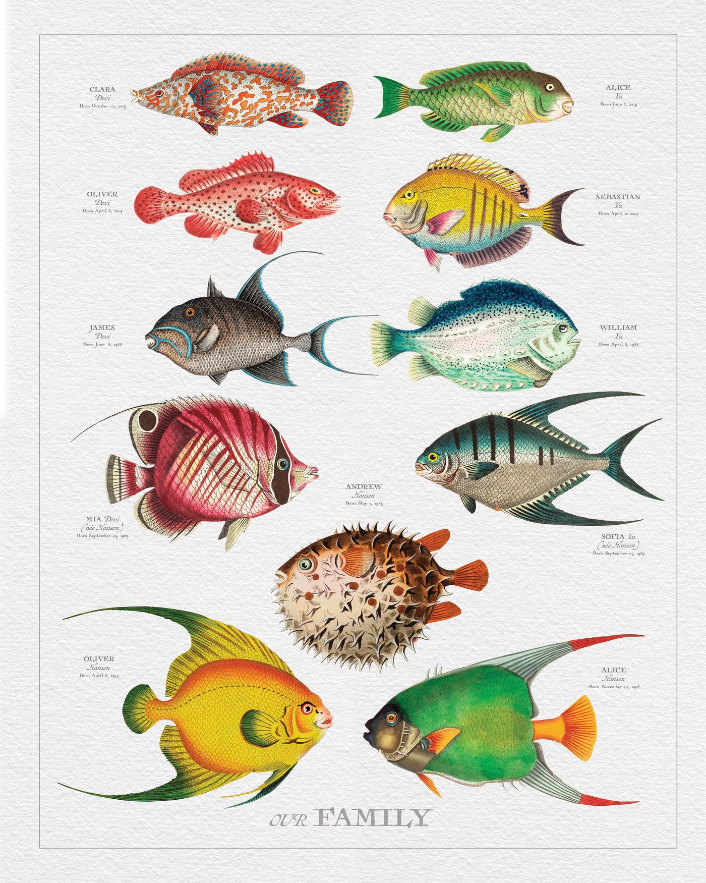 PORTRAIT VINTAGE FISH FAMILY BOTANIC - Print only