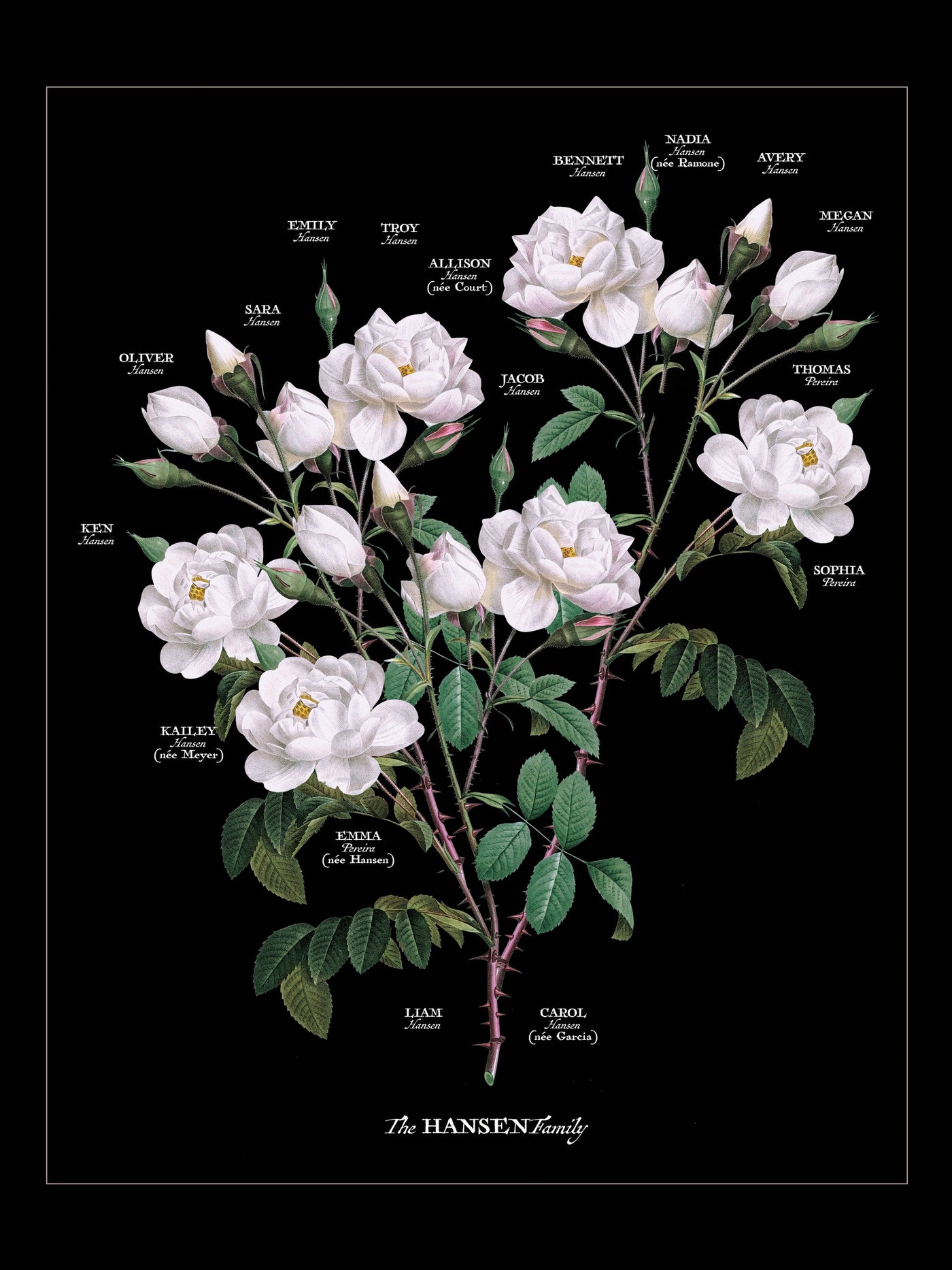 Vintage White Rose Family Botanic Family Tree print only